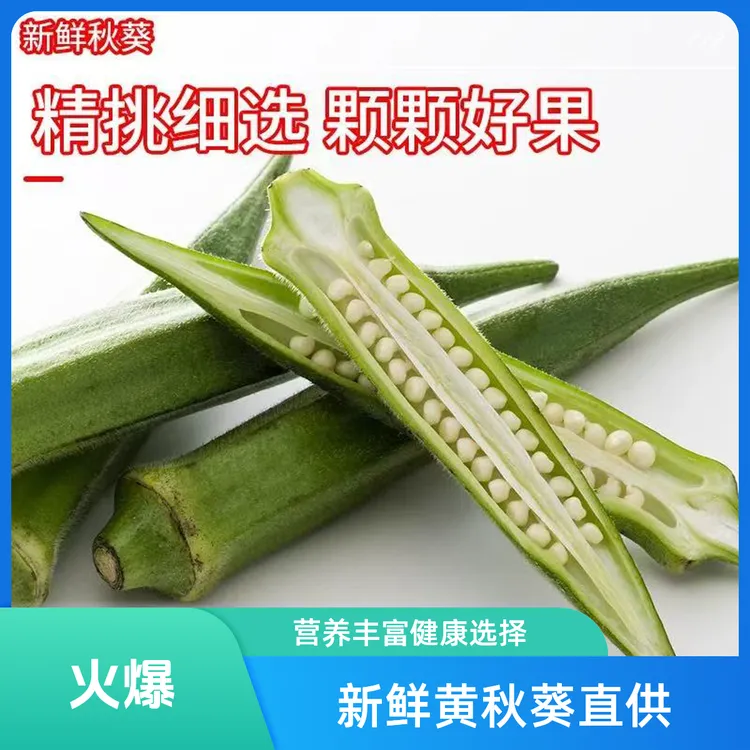 露天鲜嫩水果黄秋葵蔬菜羊角豆现摘批发新鲜秋葵福建时令秋葵新鲜