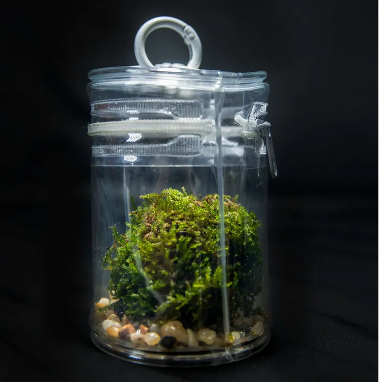 MOSS球苔藓球背包挂件桌面摆件治愈解压