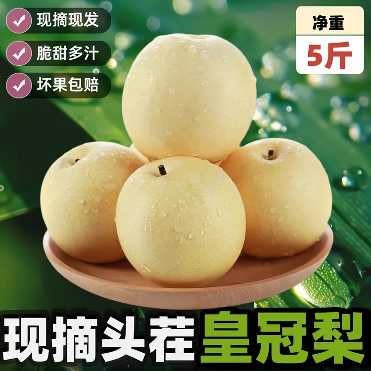 5斤现摘头茬皇冠梨子自然成熟水果批发整箱产地直发维c水果