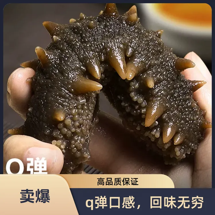 海参即食 中秋好物 中秋福利肉厚紧实口粮参顺丰包邮