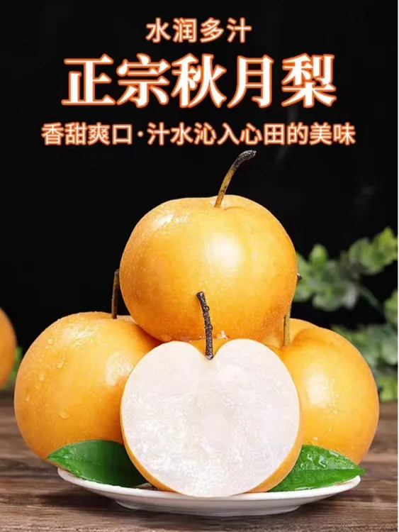 正宗秋月梨山东冰糖梨梨子酥脆甘甜无渣果肉细腻应季水果时光2025