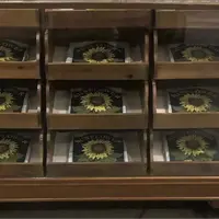 桃桃粉丝团专属随机服饰