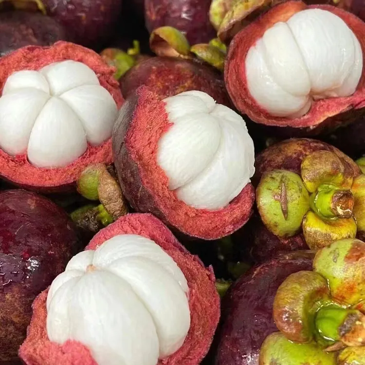 印尼老树空运山竹 5A 1.8斤/3斤装