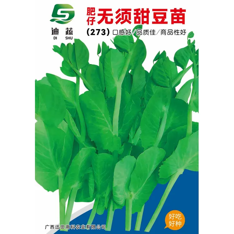 豌豆苗种子273肥仔无须甜豆苗小包装甜豆苗蔬菜种子