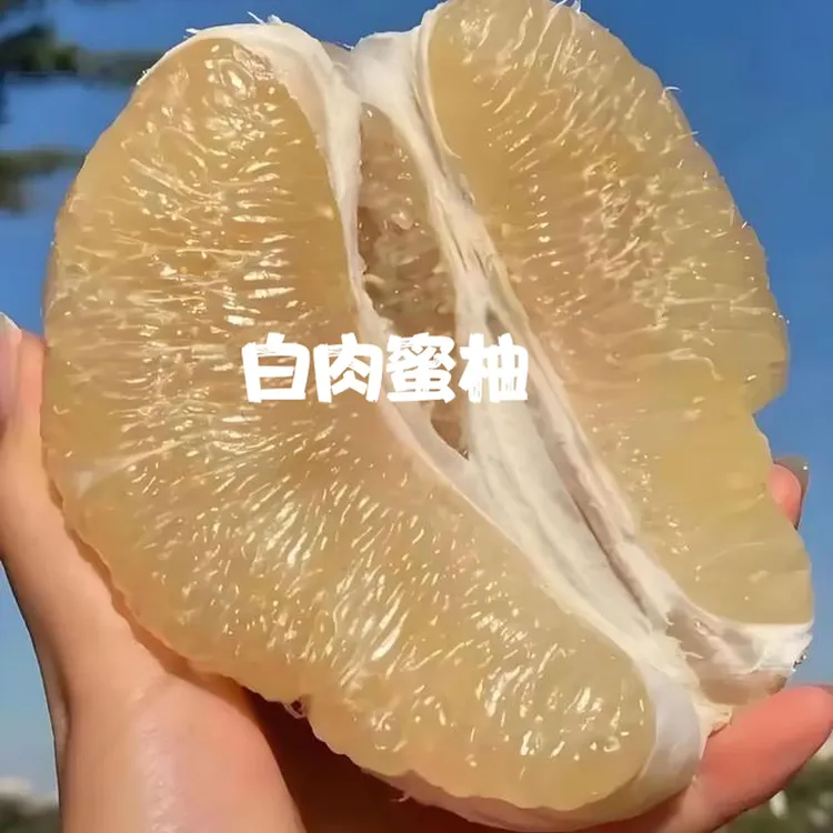 【高山老树梅州白肉蜜柚】当季孕妇水果现摘现发