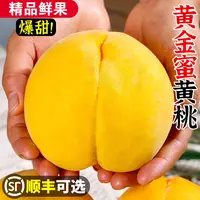 ｛东台琴姐｝新鲜黄桃现摘现卖脆软两吃当季水果产地直发
