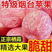 【烟台直发】正宗烟台红富士苹果山东新鲜红富士苹果批发整箱直发