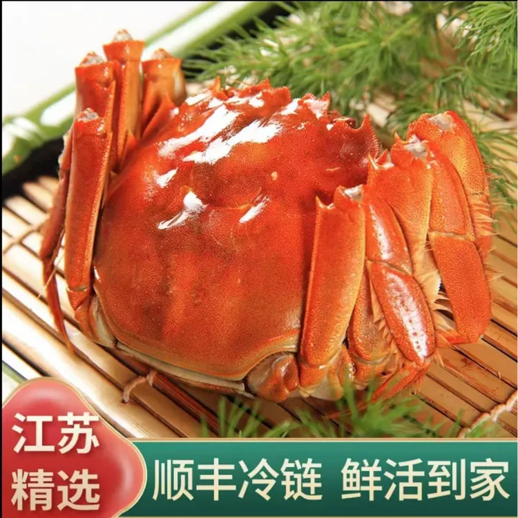 【活蟹】1.5两/只精品公蟹10只送2只 鲜活发货顺丰包邮