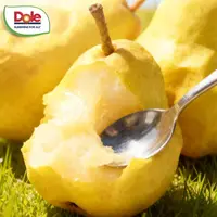 【姜婆甄选】新到都乐金糯丑梨 软糯香甜的一口爆汁  净果3.1斤起山东省