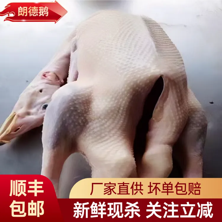 新鲜现杀整只大鹅烧鹅烤鹅卤鹅非老鹅朗德鹅冷冻生鲜