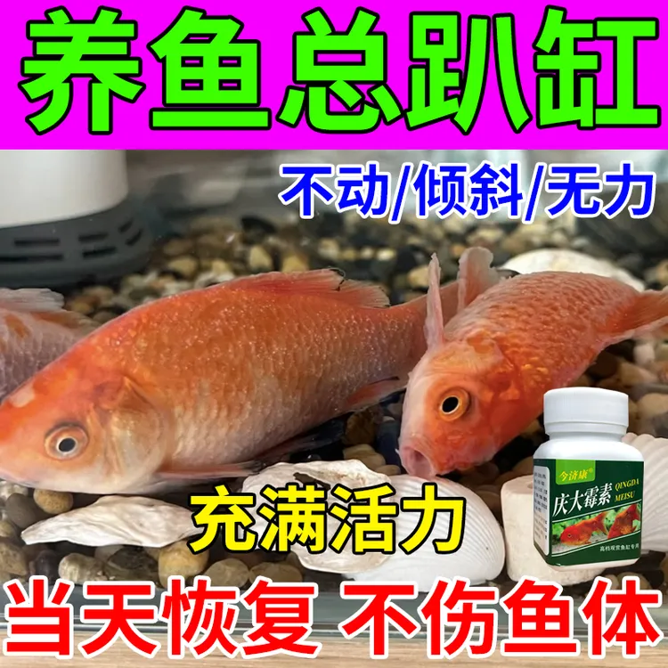 【庆大霉素】鱼换水后趴缸不动测游扎堆鱼缸底部翻肚温差鱼缸用粉