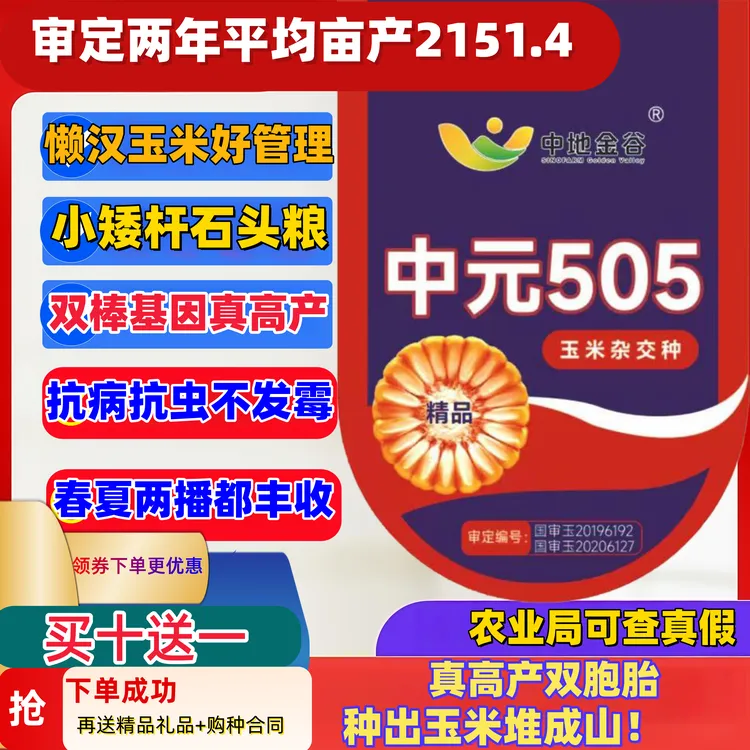 三国审正品505矮杆双棒基因高产玉米种子抗病抗虫抗倒伏苞谷种