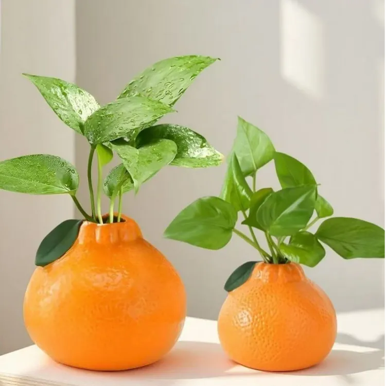 创意橘子花瓶水养绿萝水培花盆花器客厅桌面办公桌装饰品摆件