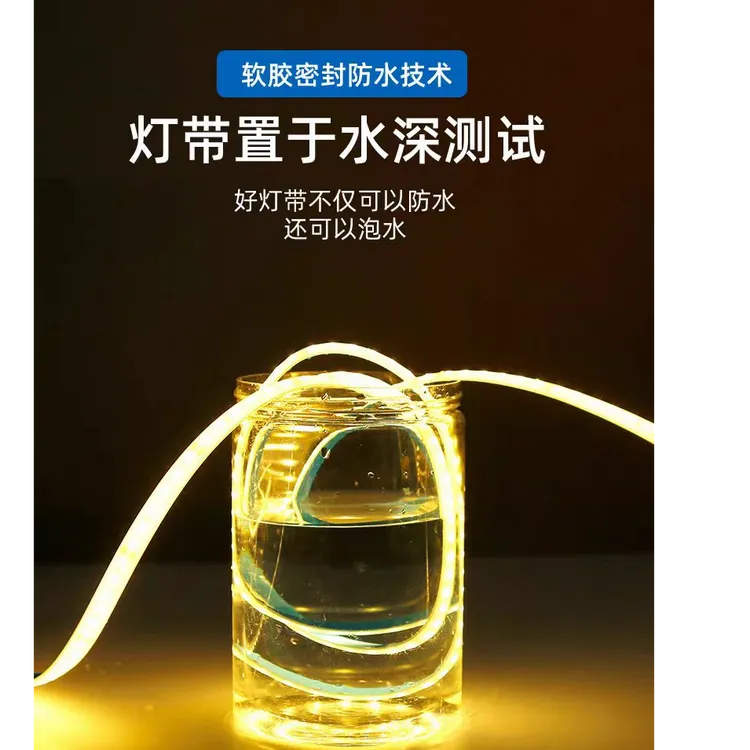 户外防水灯带实心硅胶24v可泡水LED自粘泳池鱼塘户外亮化吊顶灯条