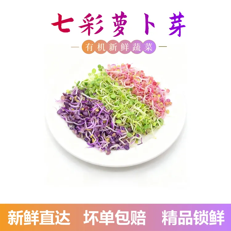 新鲜有机水培蔬菜三色萝卜芽可凉拌西餐摆盘健康精品特色菜爽口菜