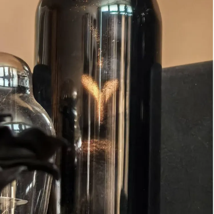 金音铼WE12805迈巴赫黑玻壳金属阳极喷涂工艺管座刻字代805电子管