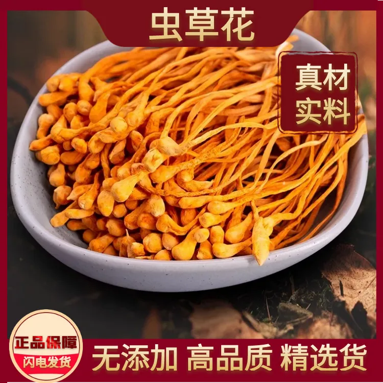 新鲜虫草花干货农家虫草菌菇黄芪煲汤孢子头食用菌商用非蛹虫草