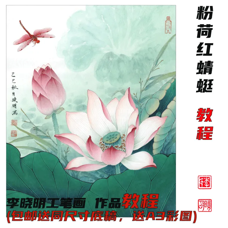 李晓明《红荷花蜻蜓》2025最新教程 包邮送底稿40*50 A3彩图