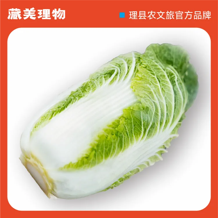 【藏羌理物】雪山下的理县大白菜阿坝州高原新鲜蔬菜产地直发