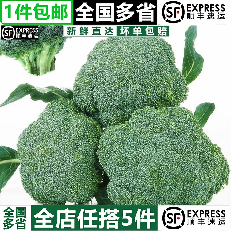 顺丰包邮宁夏新鲜现摘现发西蓝花西兰花青花椰菜菜花绿花菜蔬菜