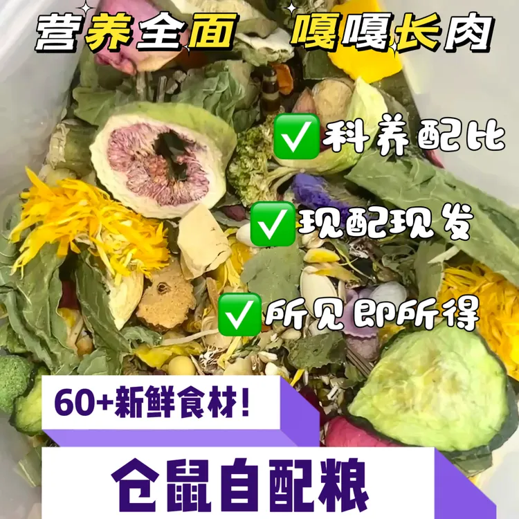 仓鼠金丝熊粮食长肉美毛科养配比 精选60+种新鲜食材营养丰富