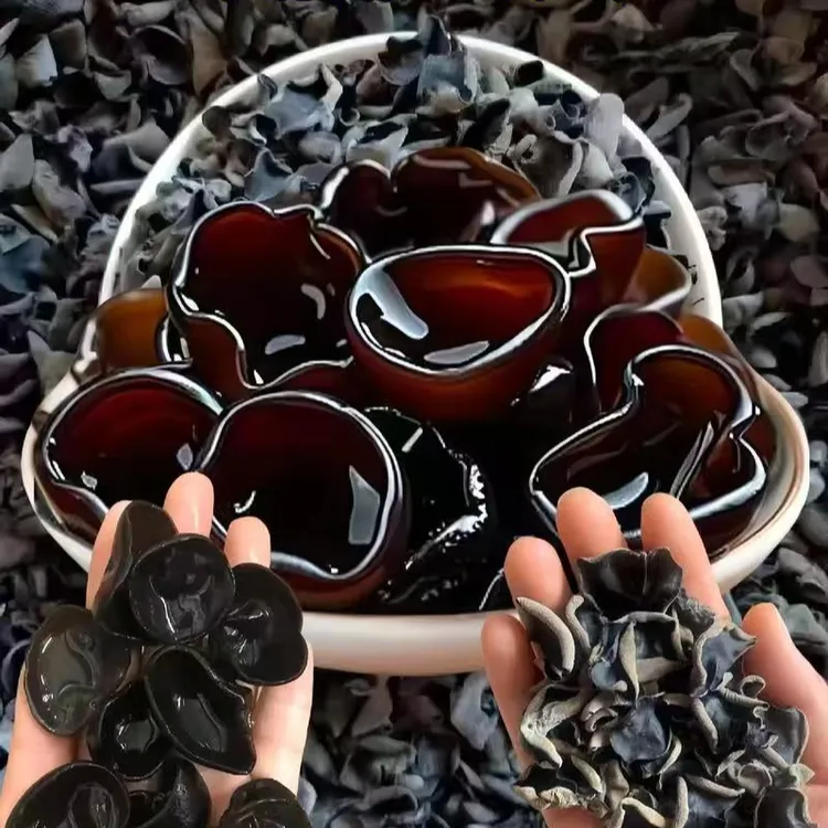 （杨成优选）东北秋木耳无根肉厚原生态特产净重500克。试吃100克