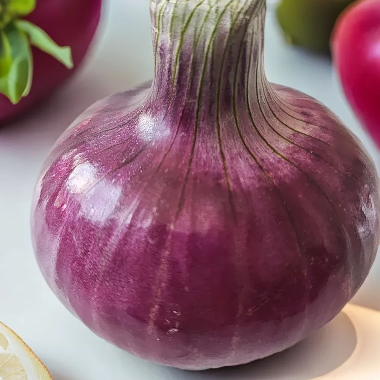 农家自种新鲜可生吃的紫皮水果洋葱甜辣适口美味蔬菜