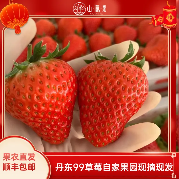 【顺丰】丹东99草莓果农直发尝鲜中果小果新鲜采摘坏果包赔孕妇可食