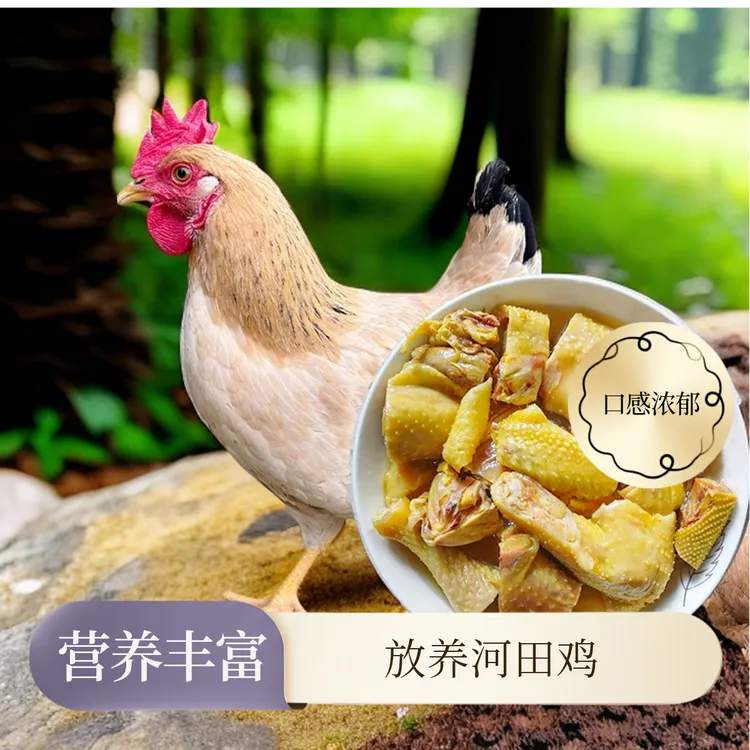赣当家河田走地土鸡农家散养河田鸡高品质散养富硒食品绿色食品！