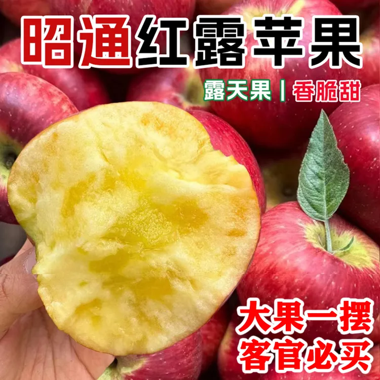 【产地直发】正宗云南昭通红露冰糖心苹果现摘脆甜多汁营养丰富