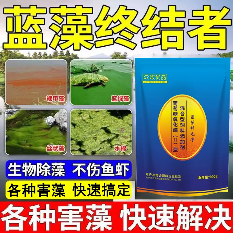 水产养殖用蓝藻净鱼虾蟹塘生物除藻剂分解蓝藻绿藻颤藻蓝藻纤毛净