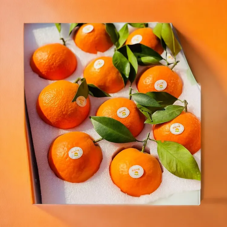 源自宁波象山（爱媛28号)红美人，产地原发