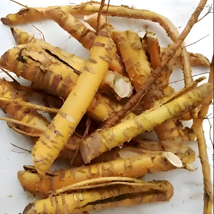 桑树根泡水专用桑树根泡酒专用真空保鲜春季饮食晚餐必备调理身体