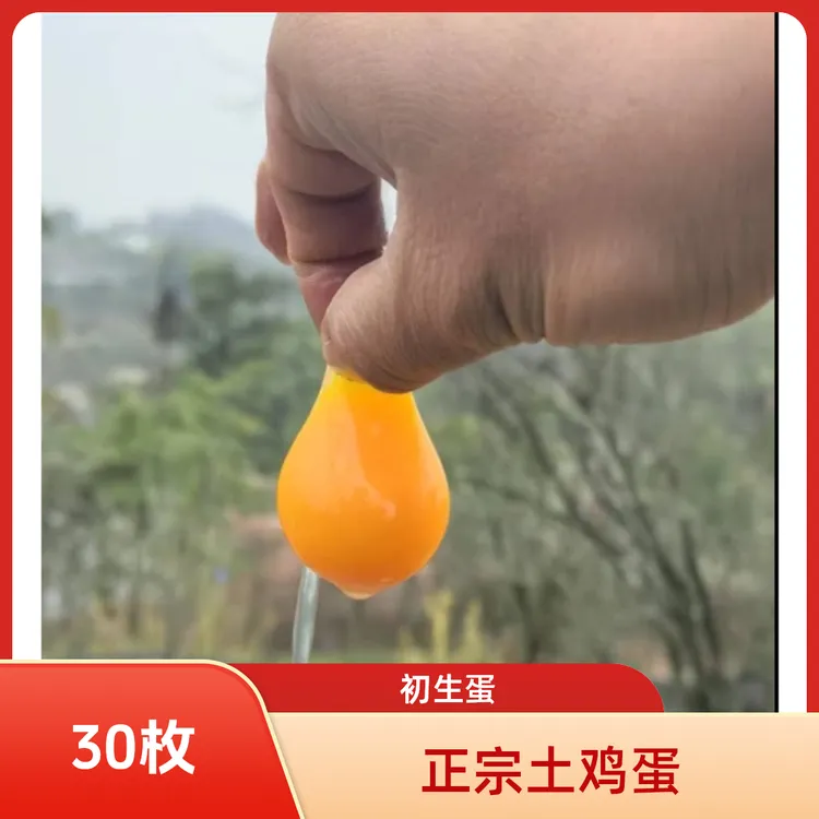 正宗散养新鲜土鸡蛋，初生蛋，开窝蛋