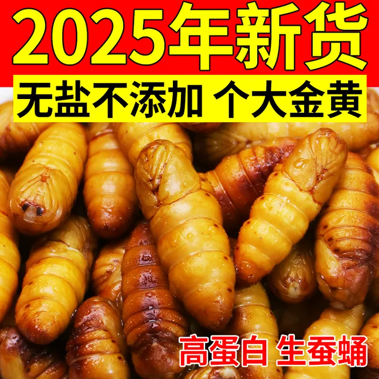 蚕蛹新鲜金丝蚕蛹冷冻商用烧烤宠物钓鱼饲料农家桑叶蚕家旺生鲜