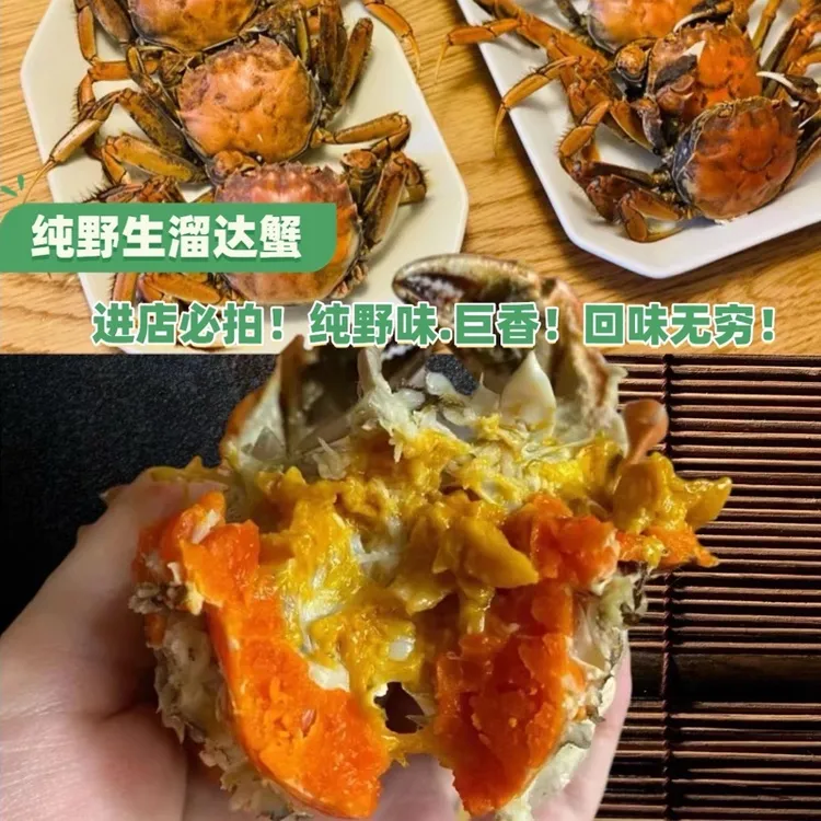 【活蟹】考拉爸爸盘锦稻田蟹（0.9-1.1）两母蟹 20只送3只补损耗