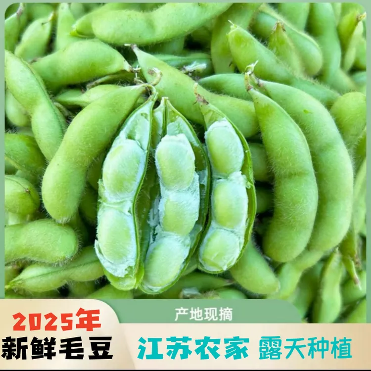 【睡衣哥专属】2025年现摘毛豆新鲜带壳毛豆