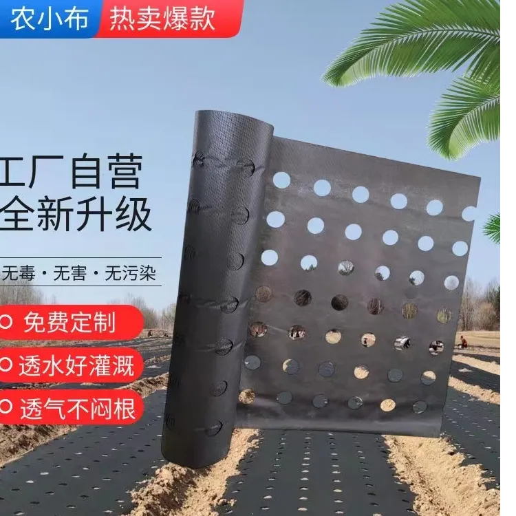黑色新型透气渗水打孔防草布可定制开孔用于种植药材大棚蔬菜