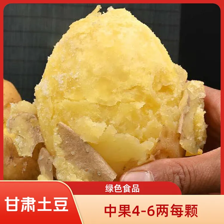 甘肃定西黄皮黄心粉面土豆产地直供现挖现发坏果包赔