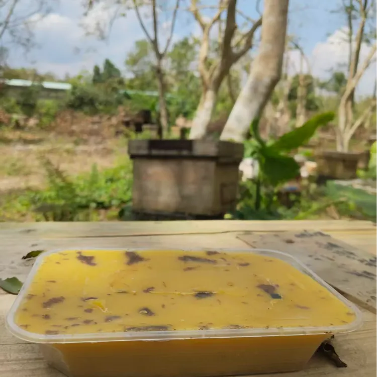 老巢脾熬制诱蜂蜡蜜蜂专用野外专用招蜂引蜂中蜂蜡土蜂蜡散装养蜂