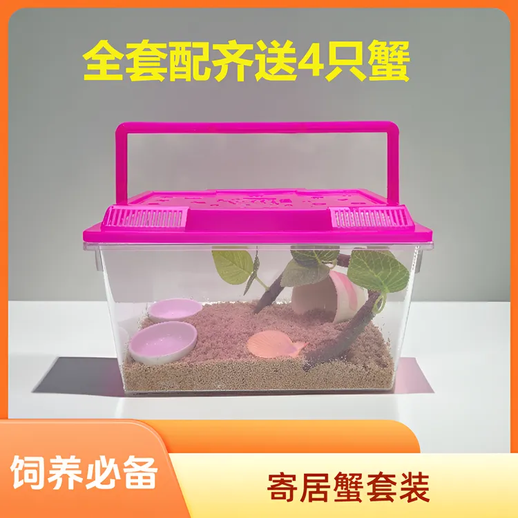 A101-200寄居蟹专用饲养箱全套中号手提透明盒子整套爬宠耐摔款