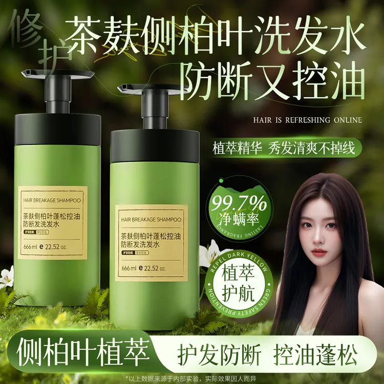 【官方正品】侧柏叶洗发水生姜茶麸防断发控油蓬松去屑止痒清爽顺滑