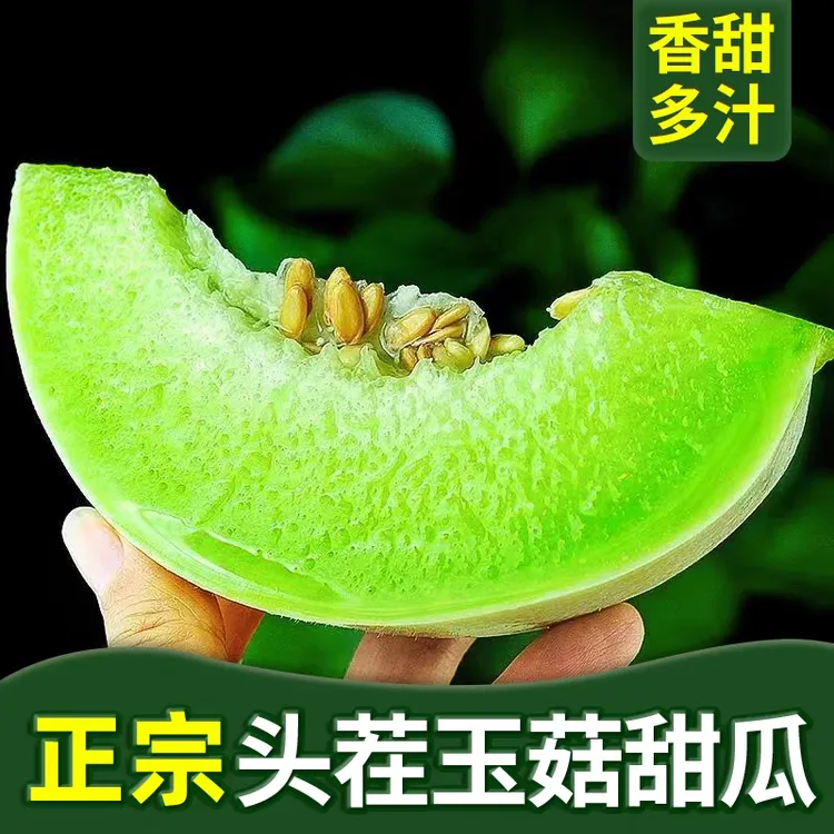 玉菇冰淇淋甜瓜软糯香甜当季新鲜网红水果4.5-5斤包邮