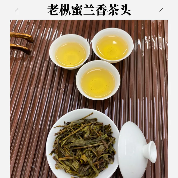 武香茶业 老枞蜜兰香茶头清香回甘潮汕工夫茶