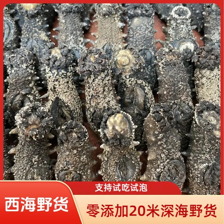 （西海）深海野货 国一 零添加 15倍涨发 70到90头 工厂捡漏款