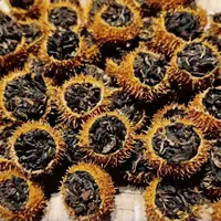 云南文山刺梨鲜果【滑竹梁子红茶】搭配制成维C爆棚的刺梨红茶