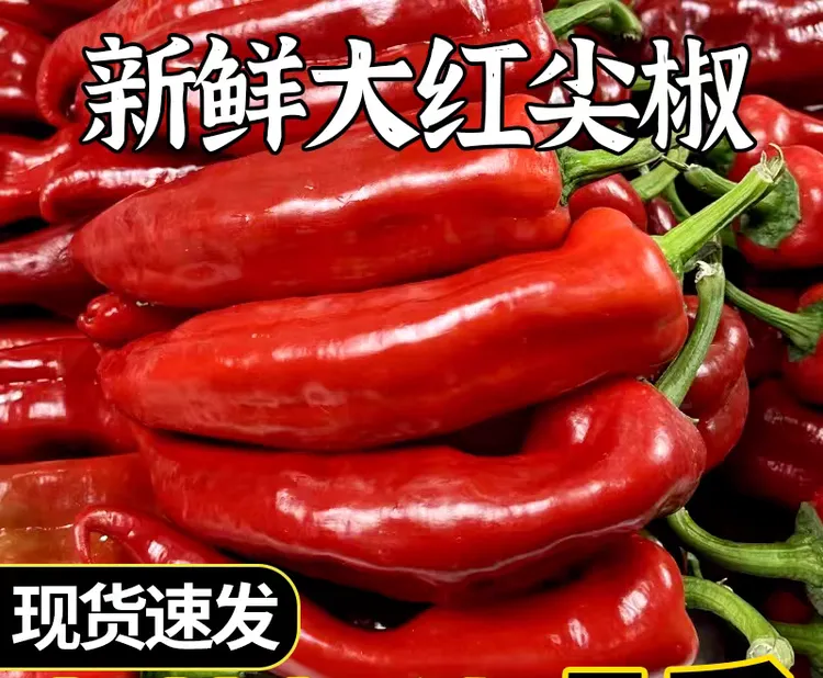 安徽农家红辣椒红尖椒微辣新鲜辣椒红泡椒辣椒酱剁椒红灯笼椒