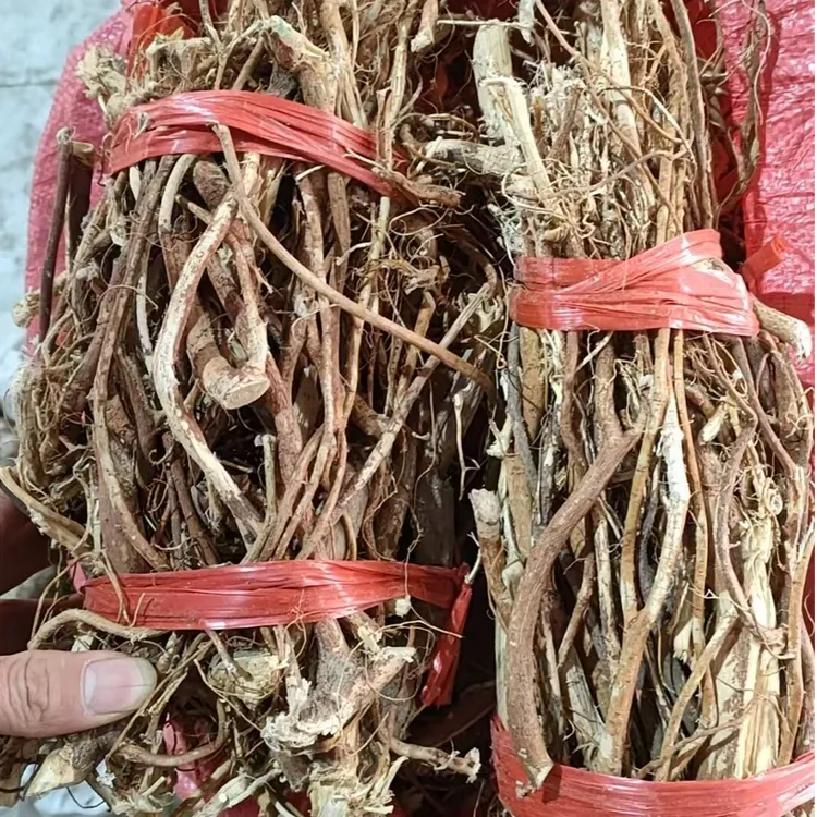 [整扎五指毛桃]正宗特产干货煲汤煲水汤料野生五指毛桃500克一扎