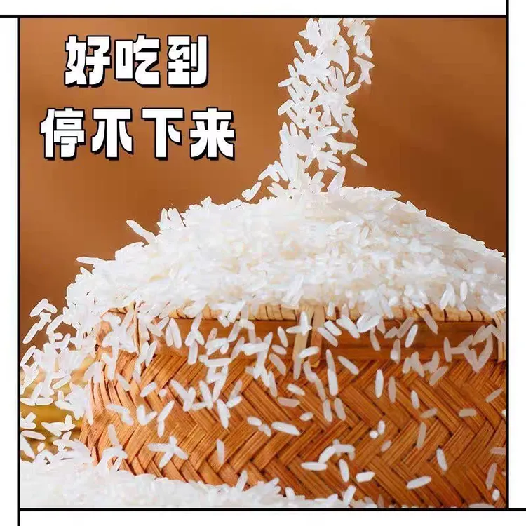 长粒香大米2025年东北长粒香10斤装