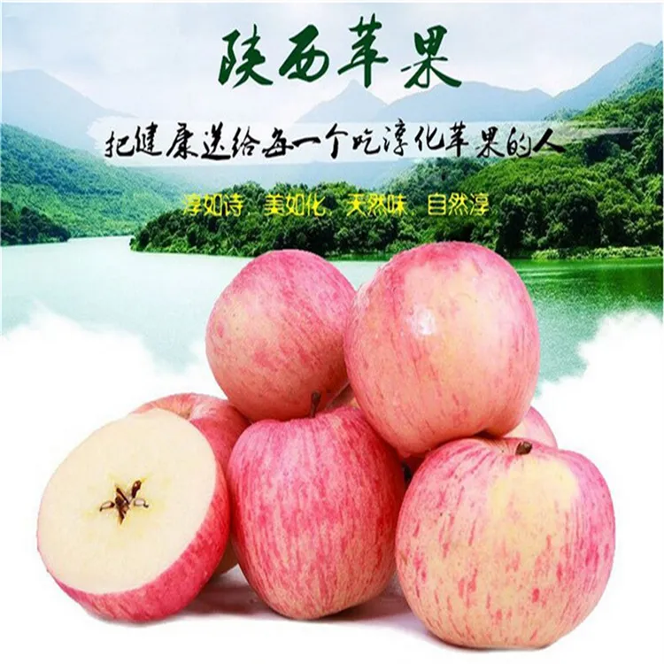 陕西淳化红富士苹果当季新鲜脆甜多汁带冰糖心